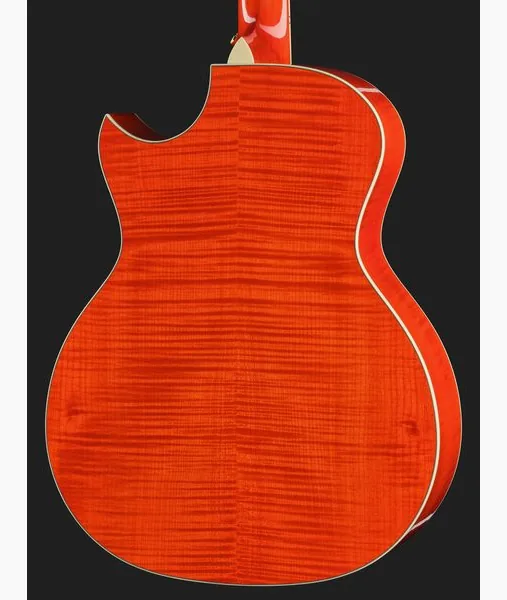 Taylor Doyle Dykes Signature Model, lähikuva 5