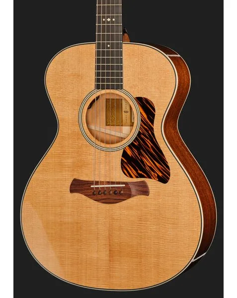 Taylor Gold Label 512e, lähikuva 4