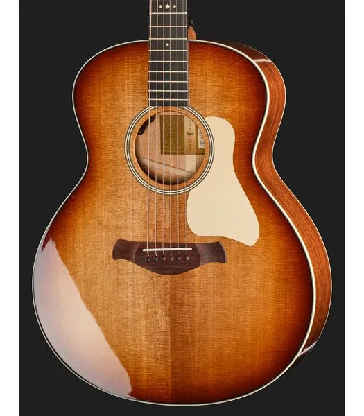 Taylor Gold Label 514e SB Cream, lähikuva 4