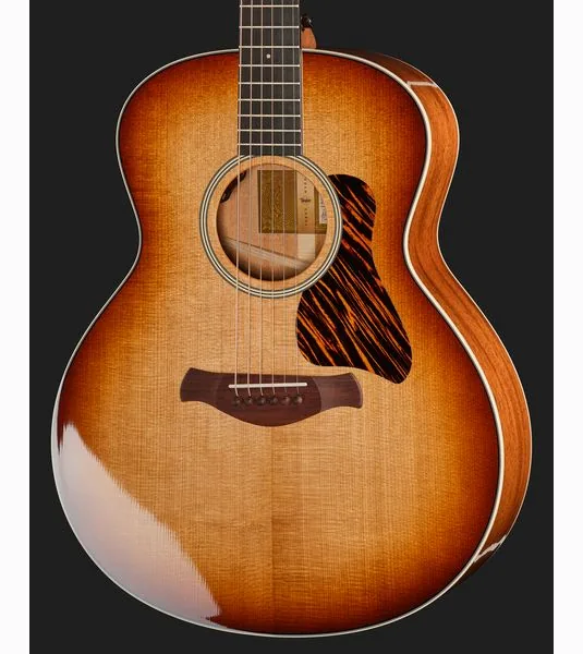 Taylor Gold Label 514e SB FS, lähikuva 4