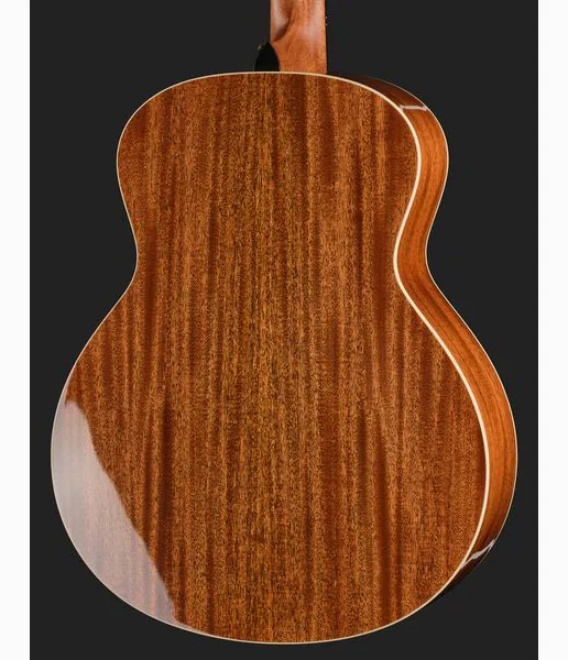 Taylor Gold Label 514e SB FS, lähikuva 5