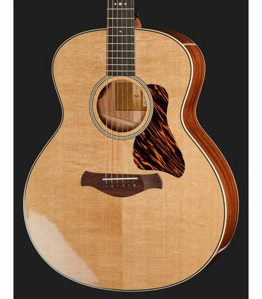 Taylor Gold Label 514e, lähikuva 4