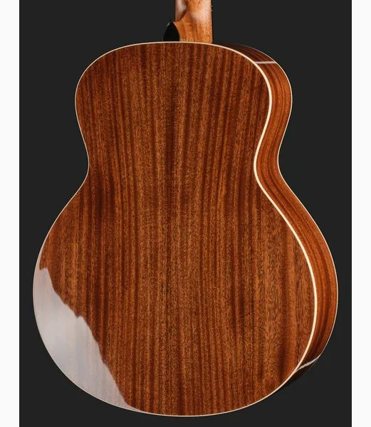 Taylor Gold Label 514e, lähikuva 5