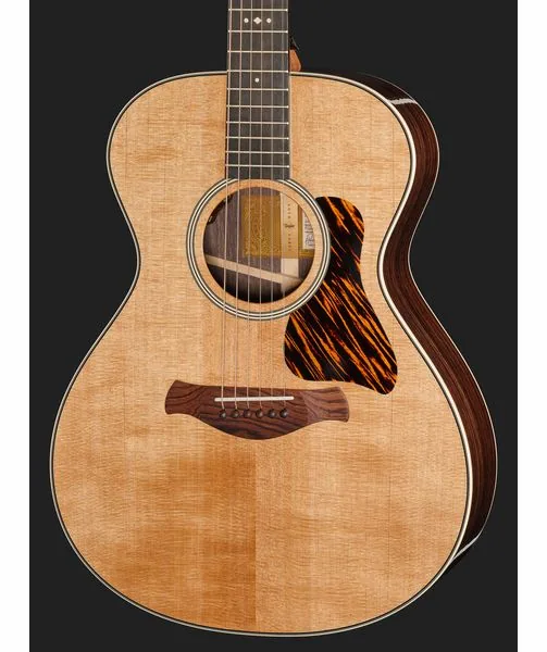Taylor Gold Label 712e, lähikuva 4