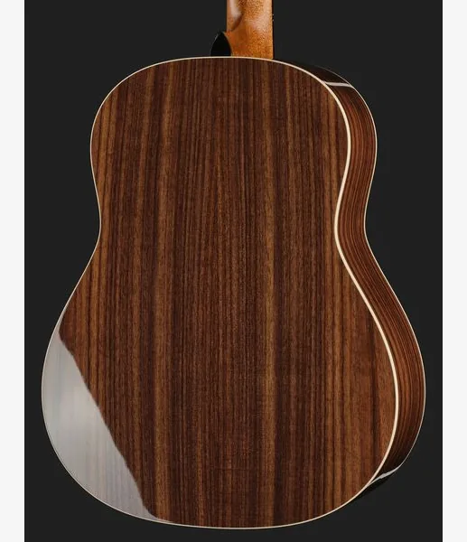 Taylor Gold Label 717e, lähikuva 5