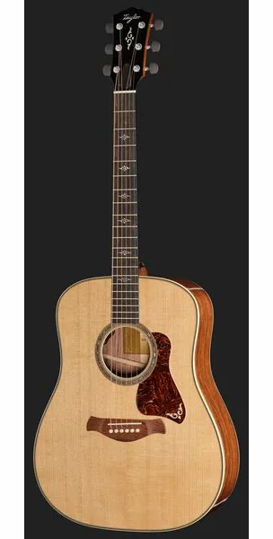Taylor Gold Label 810e, lähikuva 2