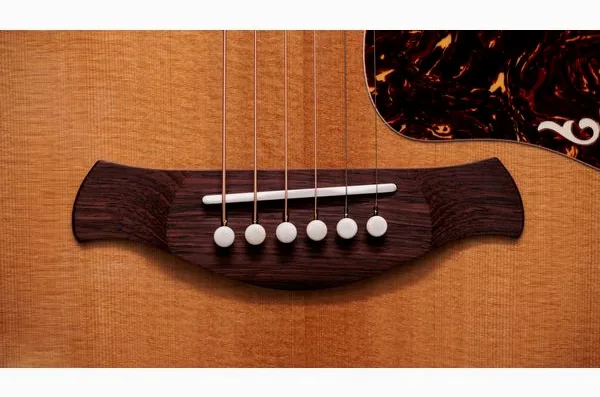 Taylor Gold Label 814e, lähikuva 3