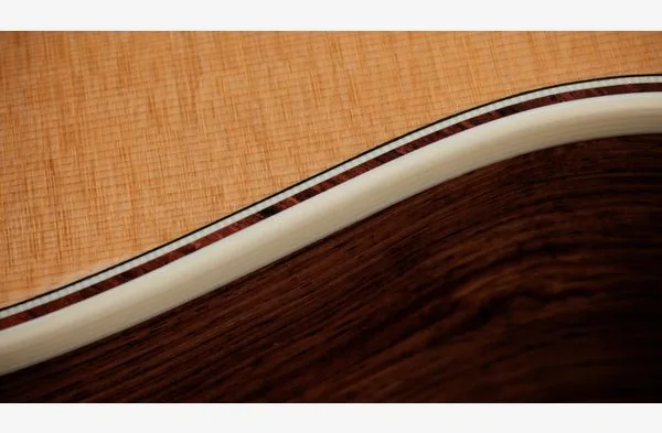 Taylor Gold Label 814e, lähikuva 5
