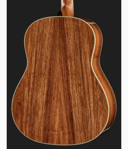 Taylor Gold Label 917e SB, lähikuva 5