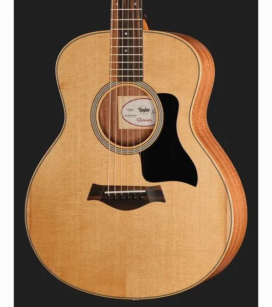 Taylor GS Mini Sapele Torrefied Top, lähikuva 4