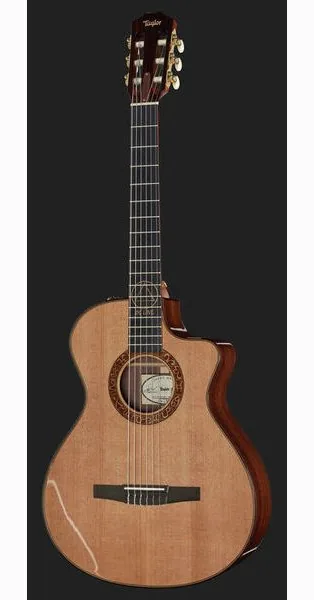 Taylor Jason Mraz Signature, lähikuva 2