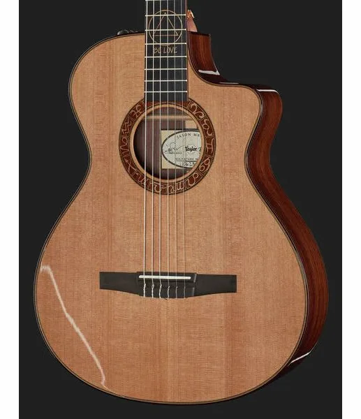 Taylor Jason Mraz Signature, lähikuva 4