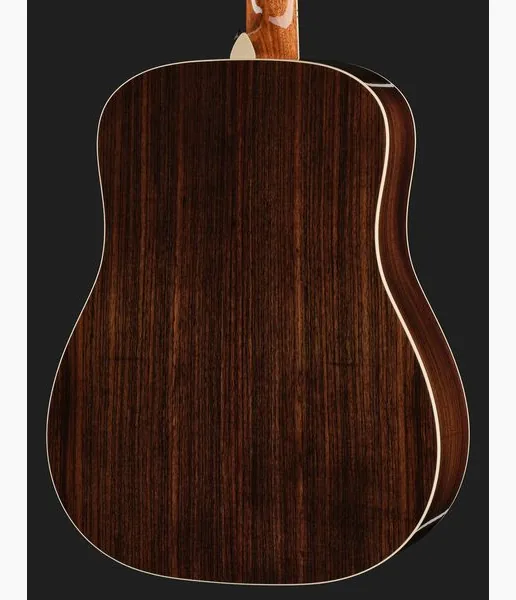 Taylor Legacy 810e Special Edition HB, lähikuva 5