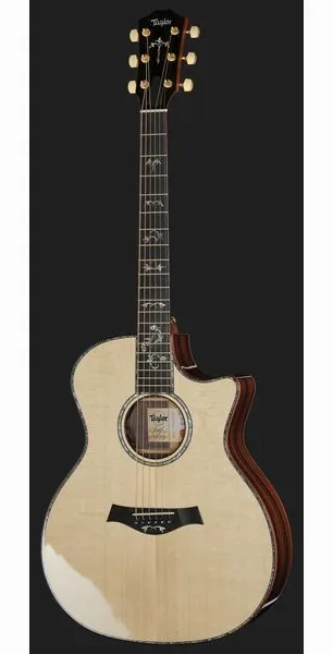 Taylor Legacy 914ce, lähikuva 2
