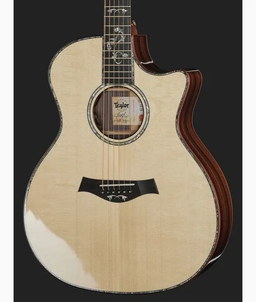 Taylor Legacy 914ce, lähikuva 4