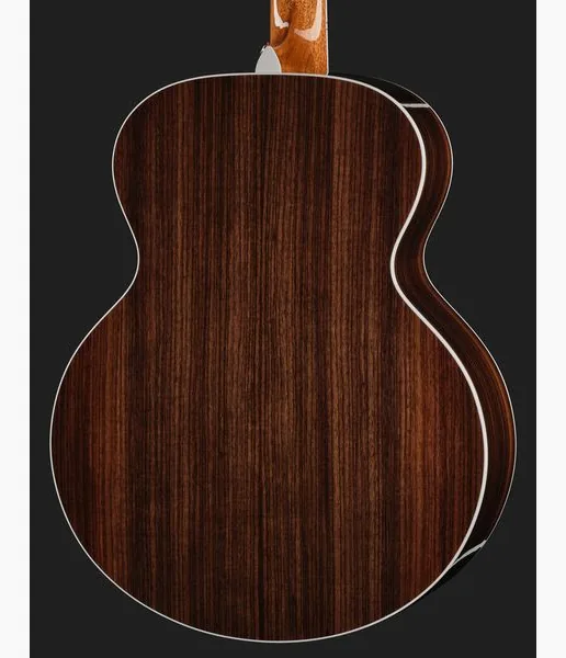 Taylor Legacy Edition 855e, lähikuva 5