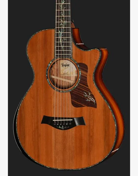 Taylor PS12ce 12-Fret Next Generation, lähikuva 4