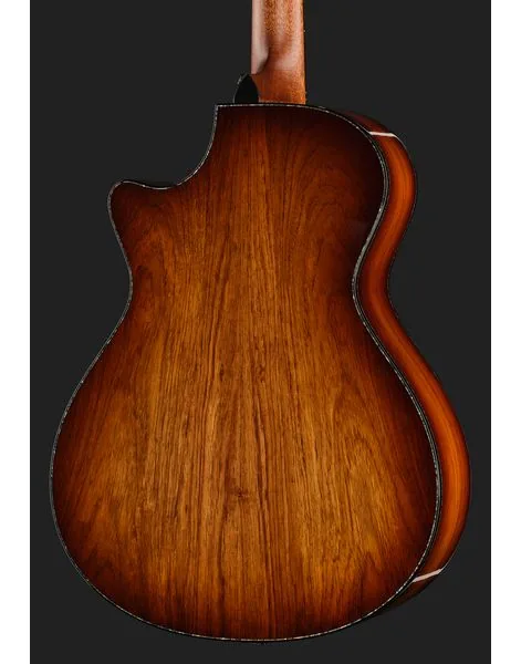 Taylor PS12ce 12-Fret Next Generation, lähikuva 5