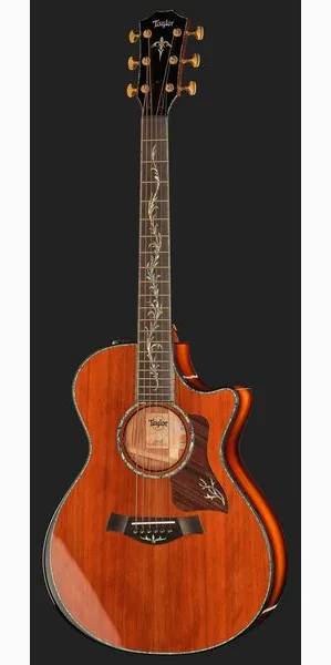 Taylor PS12ce Honduran Rosewood, lähikuva 2