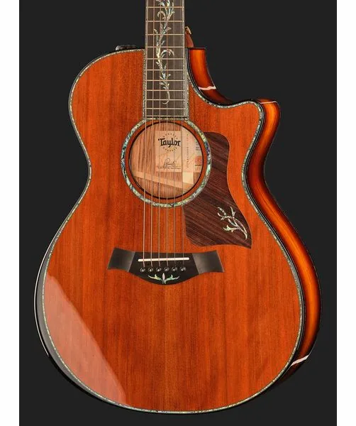 Taylor PS12ce Honduran Rosewood, lähikuva 4