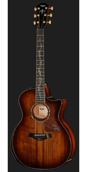Taylor PS14ce Figured Urban Ironback, lähikuva 2