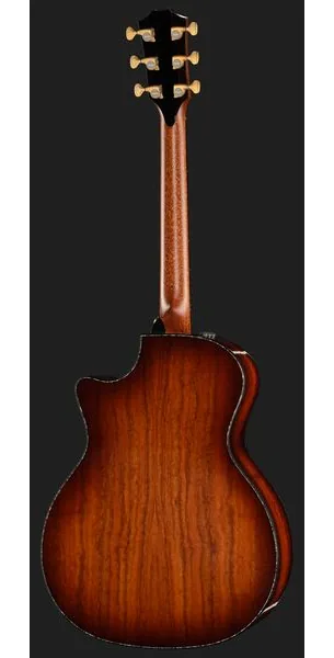 Taylor PS14ce Figured Urban Ironback, lähikuva 3