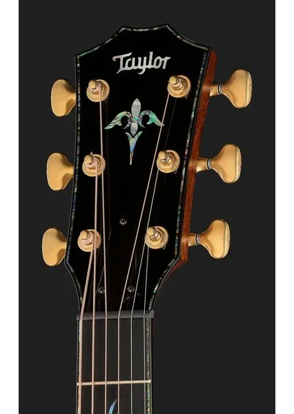 Taylor PS14ce Figured Urban Ironback, lähikuva 4