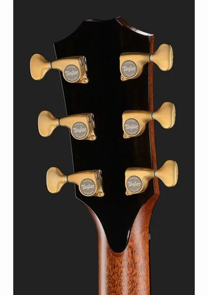 Taylor PS14ce Figured Urban Ironback, lähikuva 5