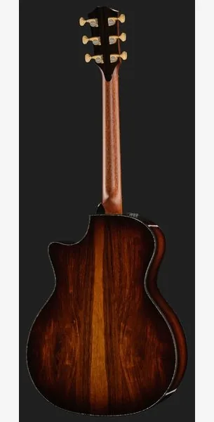 Taylor PS14ce HRW/Adirondack, lähikuva 3