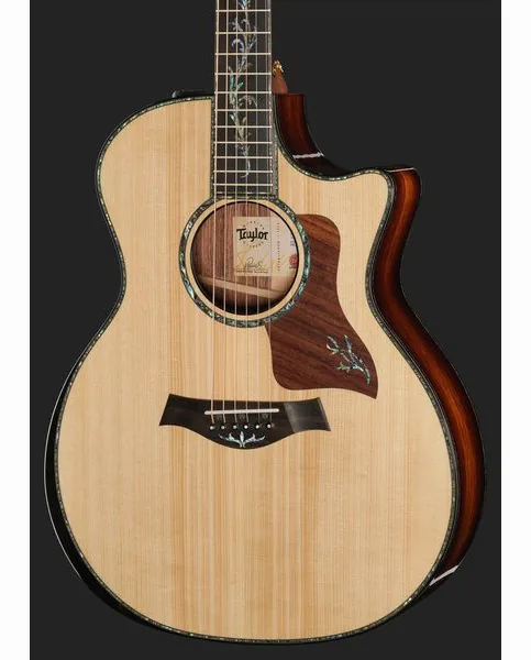 Taylor PS14ce HRW/Adirondack, lähikuva 4