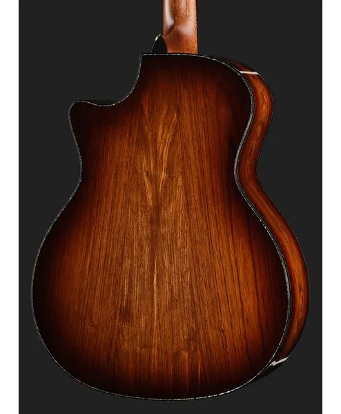 Taylor PS14ce HRW/Sinker Redwood NG, lähikuva 5
