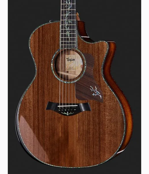 Taylor PS14ce Presentation, lähikuva 4