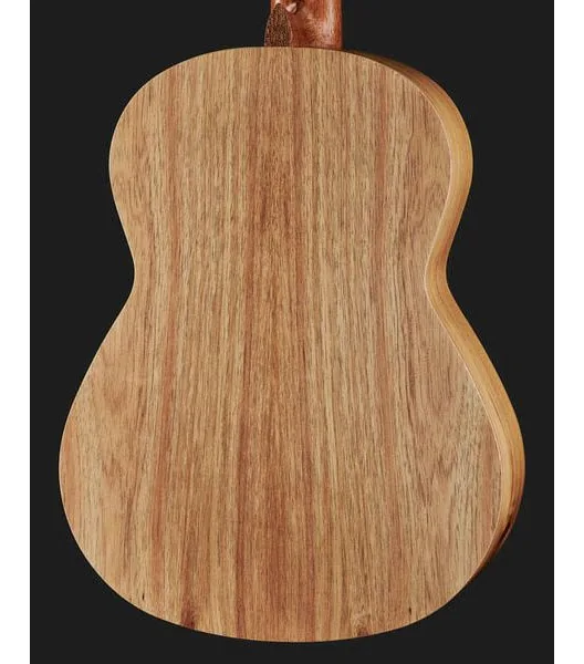 Classica Acacia, lähikuva 5