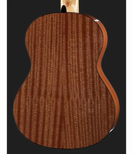 Classica Fusion 7 String, lähikuva 5