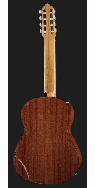 Classica Fusion 8 String, lähikuva 3