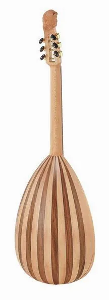 Steel String Lute Guitar, lähikuva 2