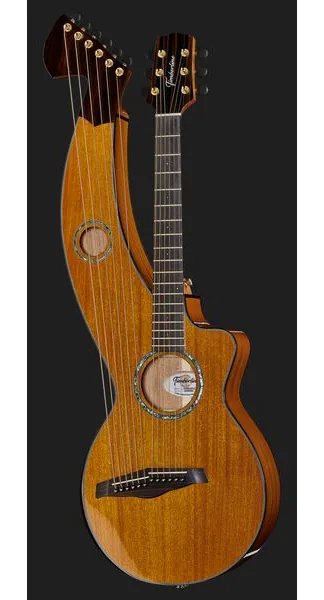 Timberline Guitars T30HGpc-e Harp Guitar, lähikuva 2