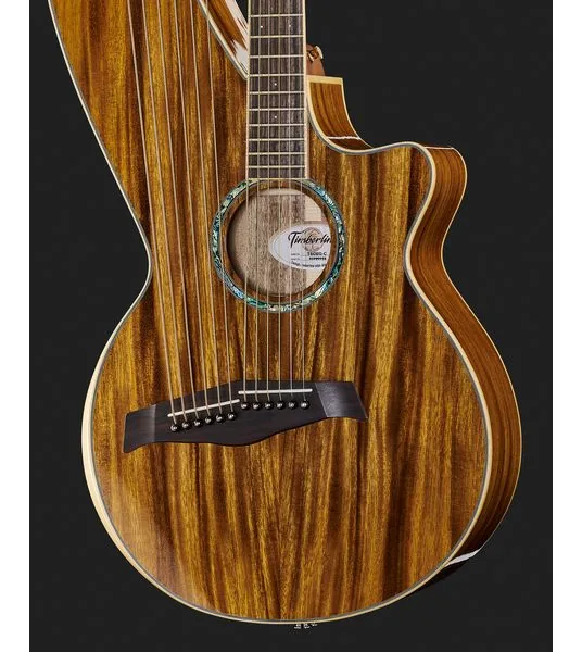 Timberline Guitars T60HGc-e Harp Guitar, lähikuva 4