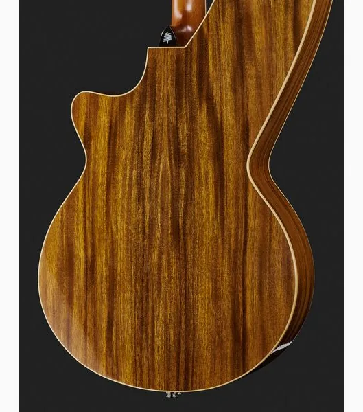 Timberline Guitars T60HGc-e Harp Guitar, lähikuva 5