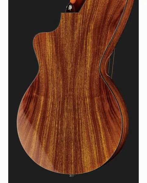 Timberline Guitars T70HGpc-e Harp Guitar, lähikuva 5