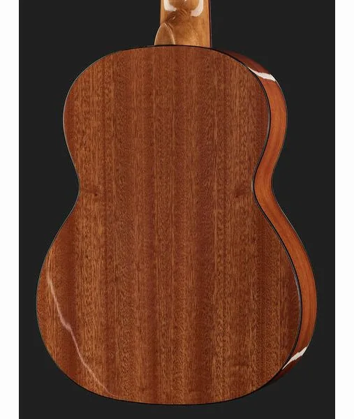 Gewa Pro Arte GC-25 A, lähikuva 5