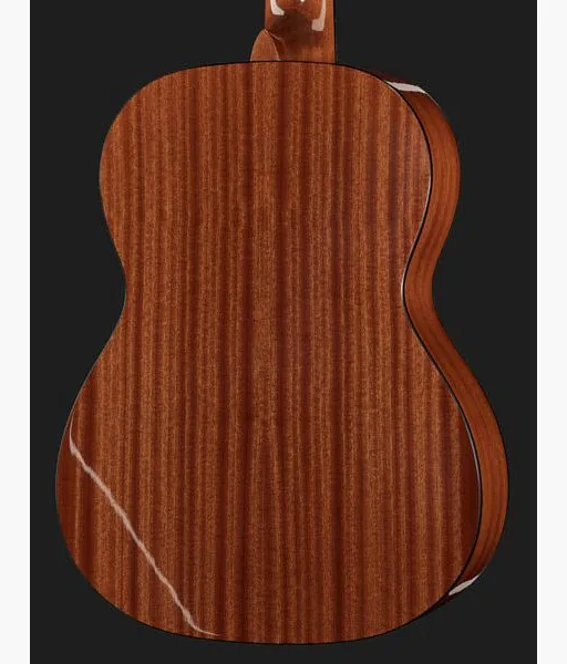 Gewa Pro Arte GC100A, lähikuva 5