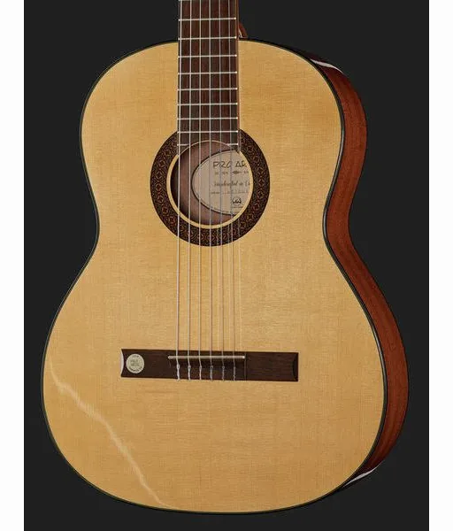 Gewa Pro Arte GC210A, lähikuva 4