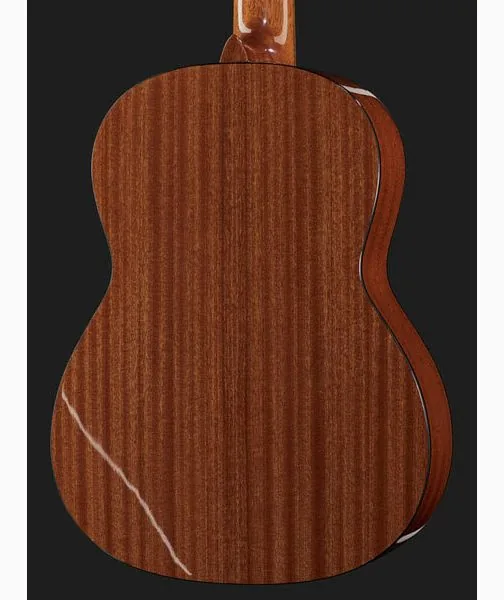 Gewa Pro Arte GC210A, lähikuva 5