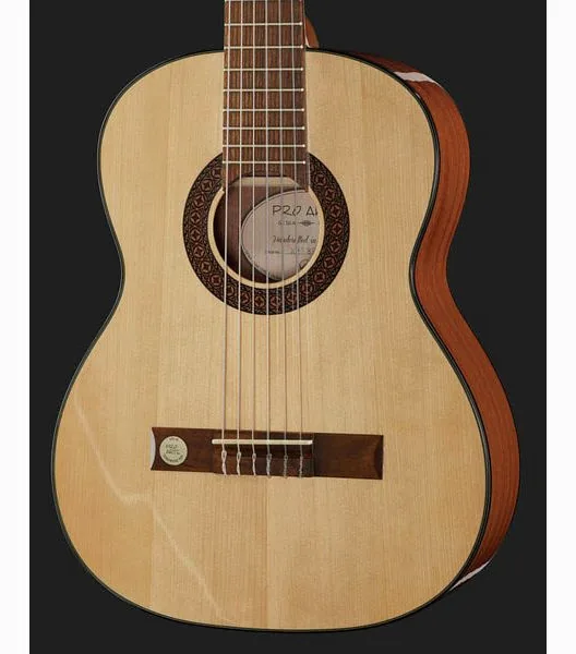 Gewa Pro Arte GC50A, lähikuva 4