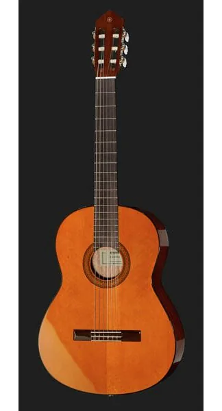 Yamaha CGX 102, lähikuva 2