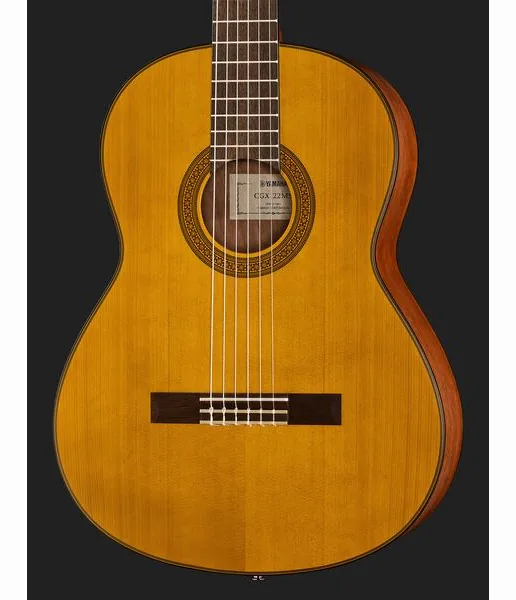 Yamaha CGX 122 MS, lähikuva 4