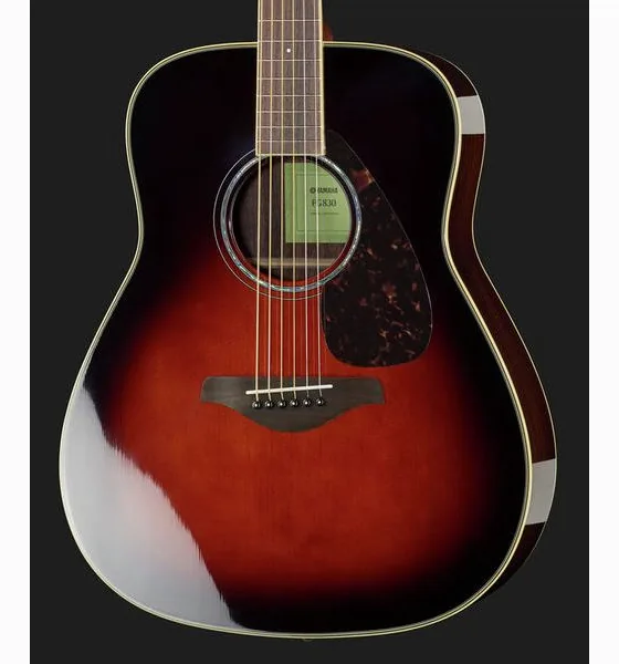 Yamaha FG830 TBS, lähikuva 4